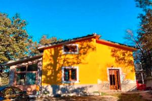 RGE 14/2023 Trib Campobasso