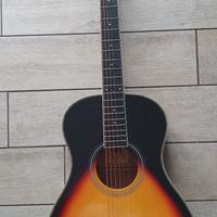 Chitarra acustica Vermont P100-S