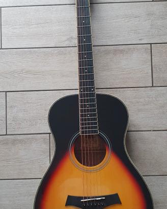 Chitarra acustica Vermont P100-S