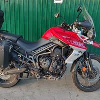 Tiger 800 xca