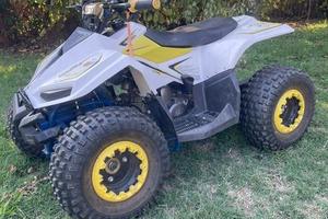 mini Quad LEM Grizzly 110 ruote da 7