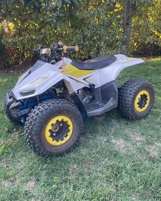 mini Quad LEM Grizzly 110 ruote da 7