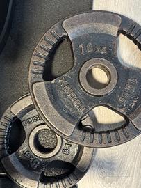 Dischi in ghisa TOORX foro 50 mm – vari pesi (5–20