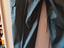 Immagine 6