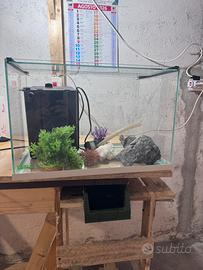 Acquario completo circa 49 litri – pronto all’uso