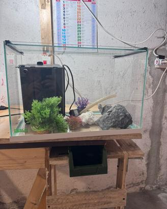 Acquario completo circa 49 litri – pronto all’uso