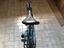 Immagine 3