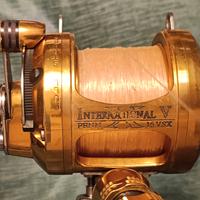 MULINELLO PENN INTERNATIONAL 