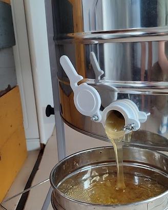 miele di acacia