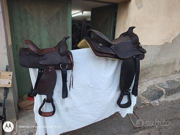 Cavalli e pony