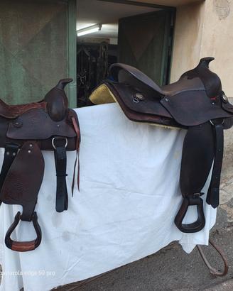 Cavalli e pony