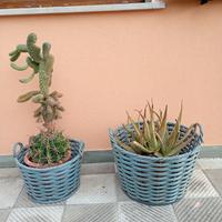 Portavasi  intrecciati in vimini  da esterno 