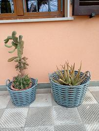 Portavasi  intrecciati in vimini  da esterno 