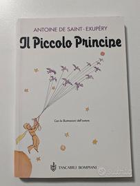 Libro - Il piccolo principe 