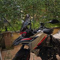 Cupolino Fume' trk 702 x  maggiorato