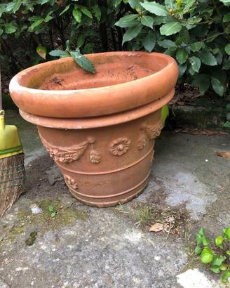 Vasi in coccio e plastica