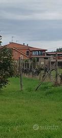 3 lotti terreno 1200+1200+1600.