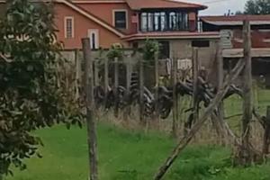 3 lotti terreno 1200+1200+1600.