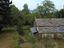 Immagine 27