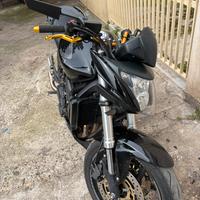 Hornet 600
