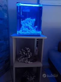 acquario 28 Lt