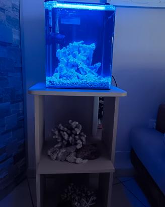 acquario 28 Lt