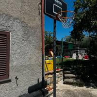 Canestro da esterno decathlon