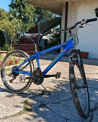 bicicletta ragazzo 