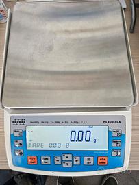 Bilancia di precisione RADWAG PS 4500.R2.M