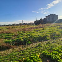 Terreno agricolo