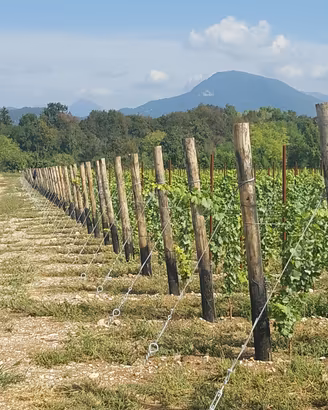 AZIENDA AGRICOLA a CANCELLI CHIUSI