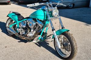 Esemplare unico - 1995 Harley