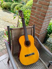 chitarra classica Squirrel 