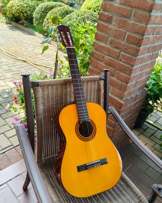 chitarra classica Squirrel 