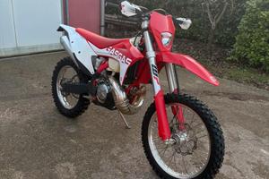 Gas Gas EC 250