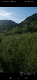 Vendita di terreno