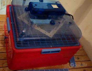 incubatrice per uova