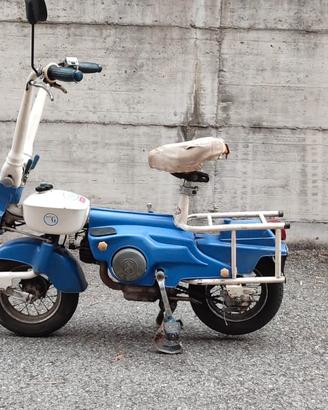 Motograziella Carnielli 1980 Sachs 50