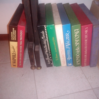 Intera collezione di raccolte Vinili