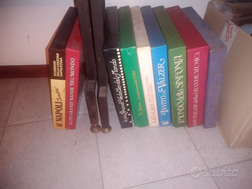 Intera collezione di raccolte Vinili