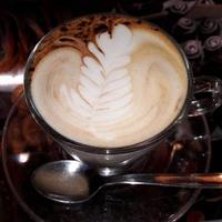 Barista