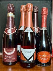 Brachetto D’acqui 6 bottiglie+1 Valdobbiadene