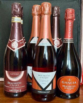 Brachetto D’acqui 6 bottiglie+1 Valdobbiadene