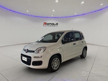 FIAT Panda 3ª serie Panda 1.2 EasyPower Easy