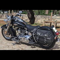 Harley davidson heritage 1584 special