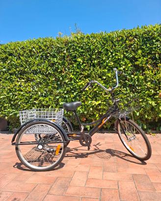 bicicletta per adulti e/o disabili