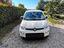 Immagine 12