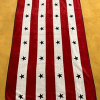 Coppia di teli mare Gant a righe