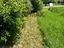 Immagine 25