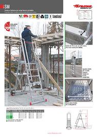 scala professionale faraone